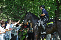 Pokaz koni policyjnych